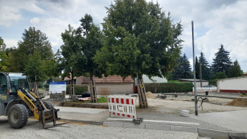 Bau der Lausitz-Haltestelle in Kodersdorf geht gut voran 
